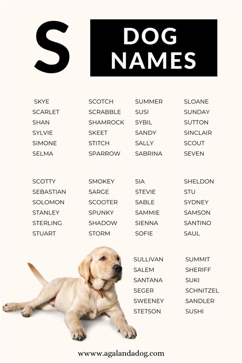 dog names that start with s